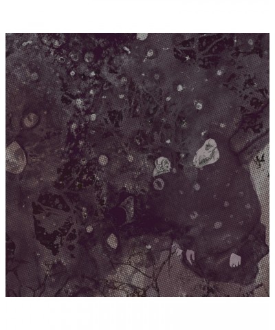Pinkish Black Razed to the Ground Vinyl Record $8.75 Vinyl